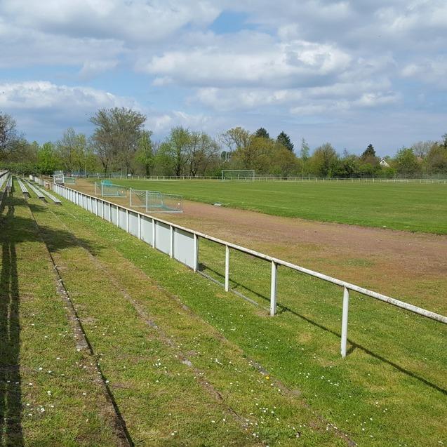 Blick auf ein leeres Fu&szlig;ballfeld mit Trib&uuml;nen und B&auml;umen unter einem bew&ouml;lkten Himmel.