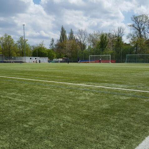 Blick auf einen Fu&szlig;ballplatz mit Kunstrasen, umgeben von B&auml;umen und einem wolkenbedeckten Himmel.