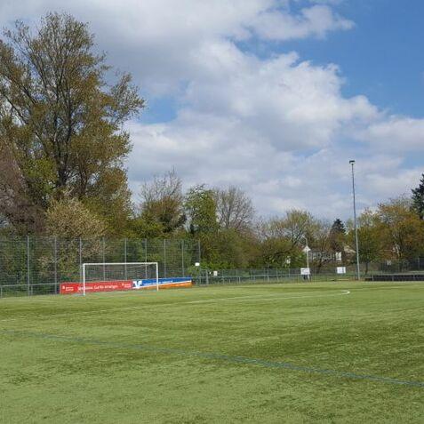 Fu&szlig;ballplatz mit Kunstrasen, Toren und B&auml;umen im Hintergrund unter einem bew&ouml;lkten Himmel.