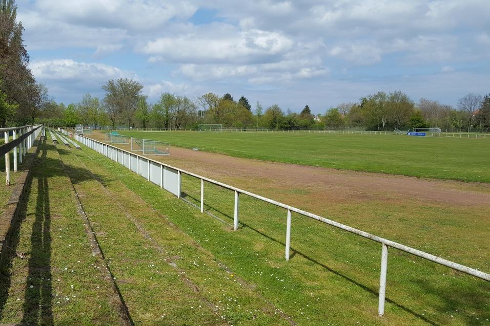 Blick auf ein Fußballfeld mit Zaun, umliegendem Gras und Bäumen unter einem bewölkten Himmel.